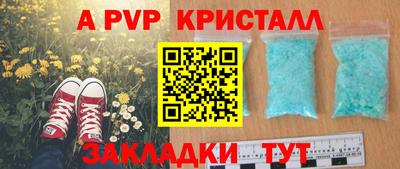 прущие грибы Гагарин