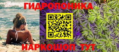спайс Гатчина