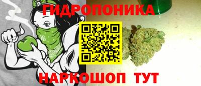 спайс Гатчина