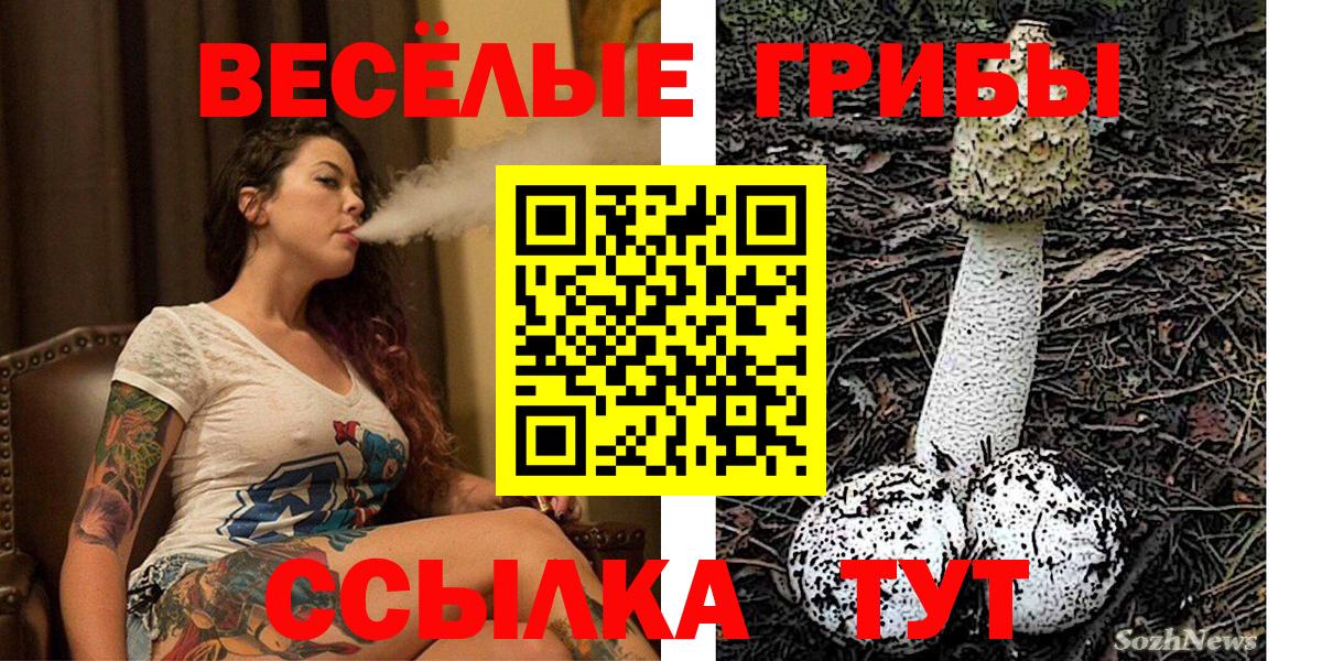 Галлюциногенные грибы прущие грибы  даркнет сайт  Губкинский  Вход с VPN 